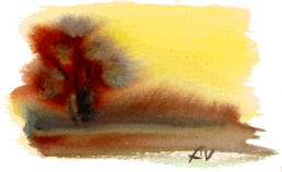 Weingut Impression